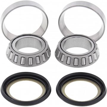 STEERING BEARING KIT 22-1002