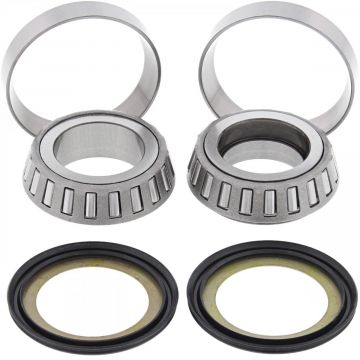 STEERING BEARING KIT 22-1005