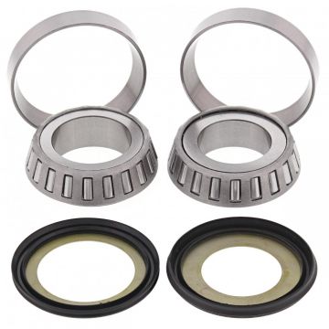 STEERING BEARING KIT 22-1045