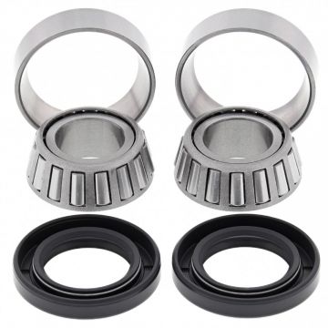 SWING ARM BEARING/SEAL KIT 28-1171