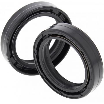 FORK OIL SEAL KIT 55-111
