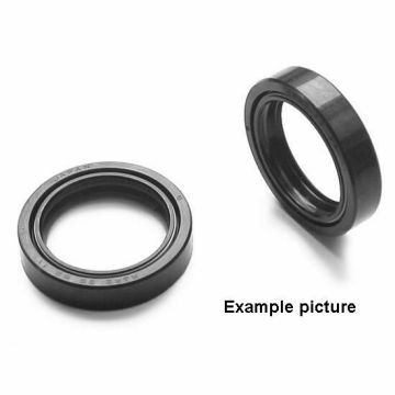 31X43X10 DOUBLE SPRING