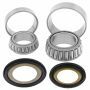STEERING BEARING KIT 22-1069