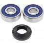 WHEEL BEARING KIT 25-1306